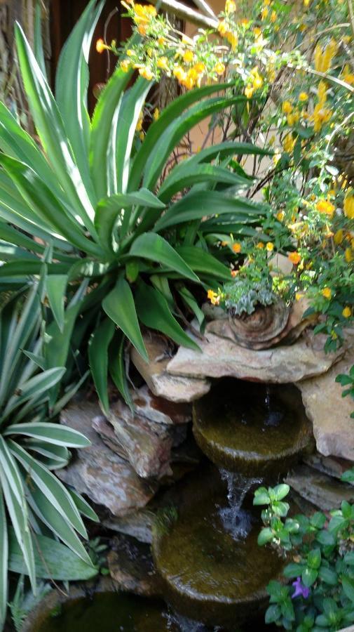 Eco Pousada Jardim Do Eden Alto Paraíso de Goiás Exterior foto